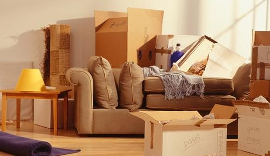 Domestic Relocation Services India